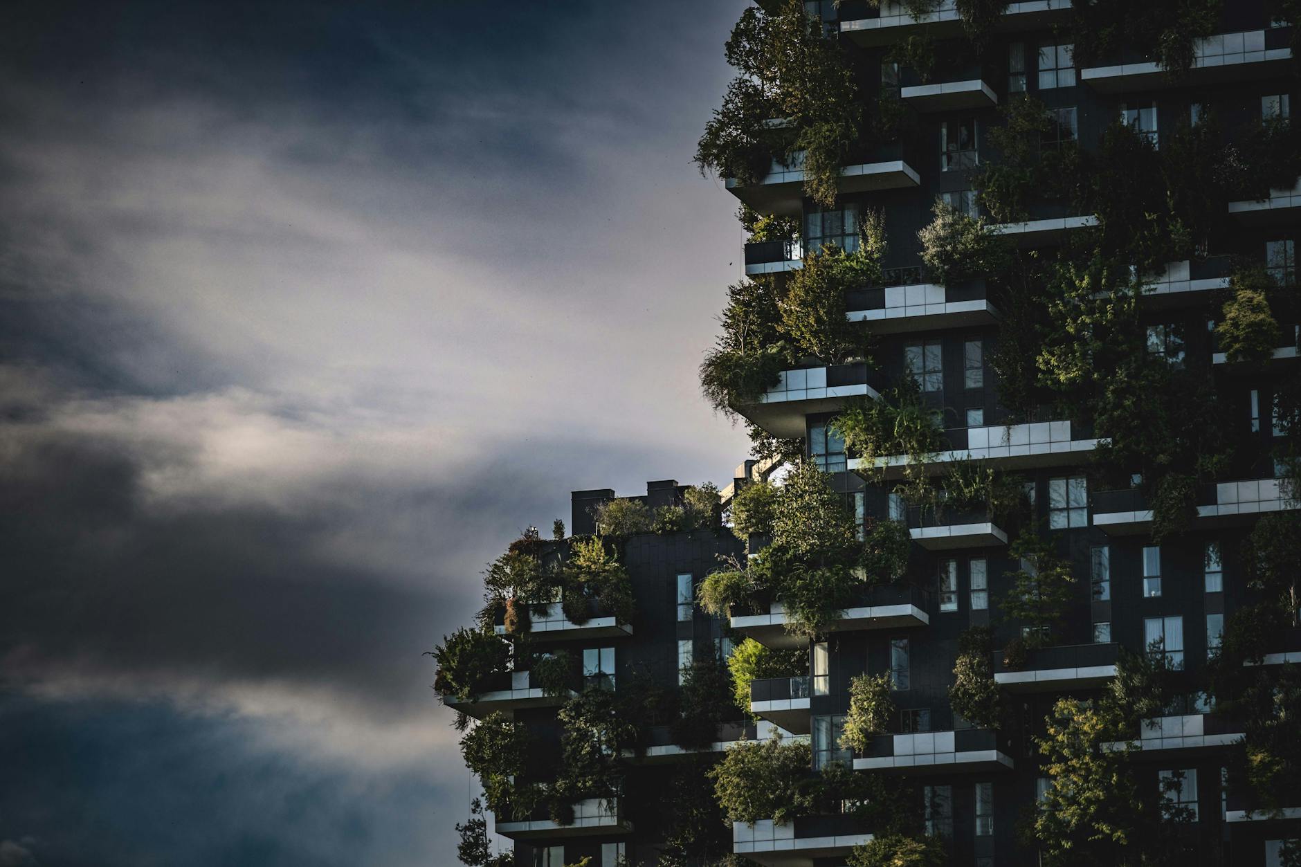 Grünes Wohnbauprojekt